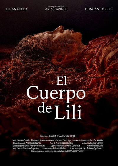 Poster do Filme El Cuerpo de Lili