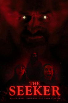Poster do Filme THE SEEKER