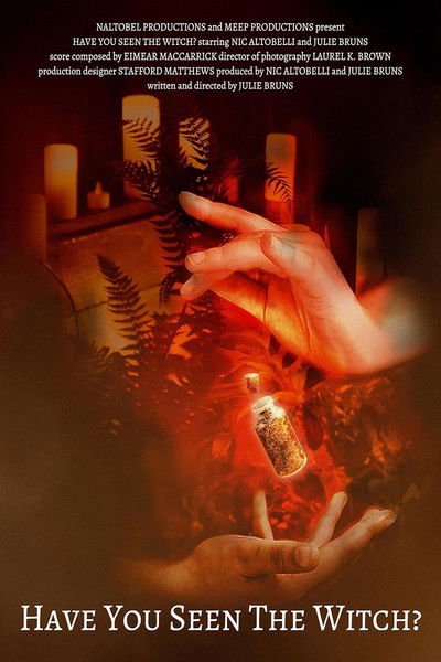 Poster do Filme Have You Seen the Witch?