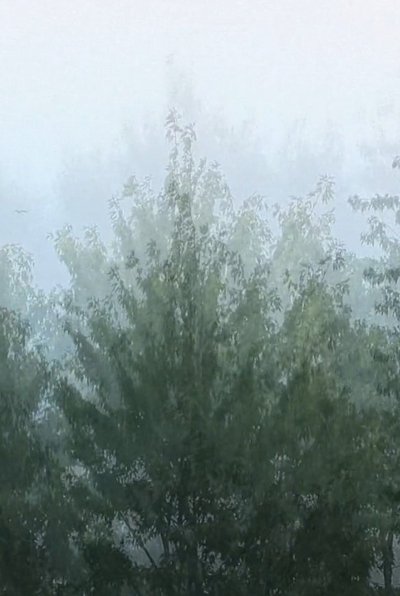 movie poster for Wind
