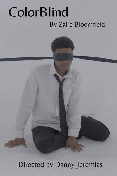 Poster do Filme ColorBlind