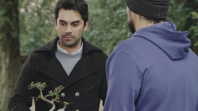 tv poster
