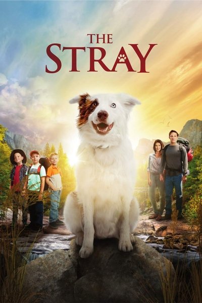 Poster for the movie The Stray