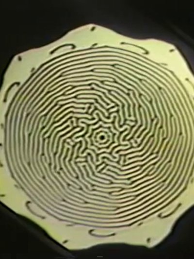Watch Now!(1984) Space-time dynamics in video feedback Movie Online Free 123Movies