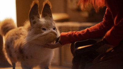 Görsel #426700