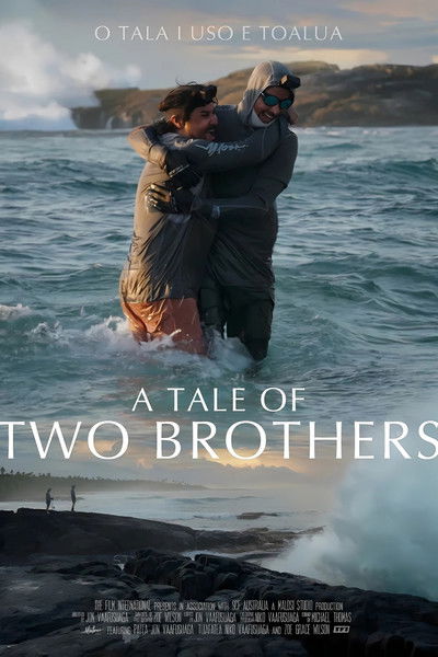 Poster do Filme A Tale of Two Brothers