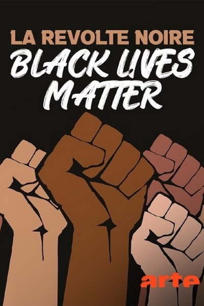 Poster do Filme La révolte noire - Black Lives Matter
