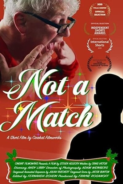 Poster do Filme Not a Match