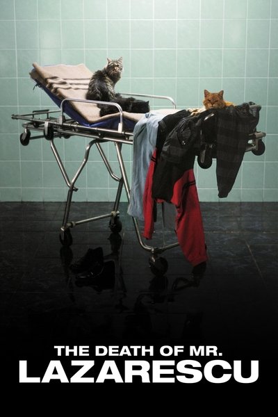 Poster for the movie The Death of Mr. Lazarescu