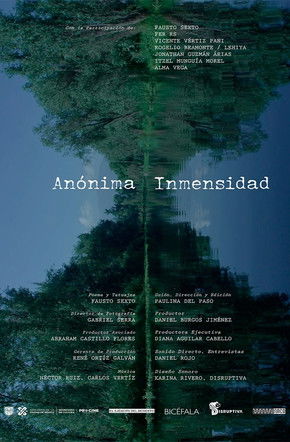 Poster do Filme Anónima Inmensidad