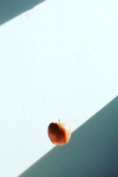 Poster do Filme The Mouth is Still a Wild Door