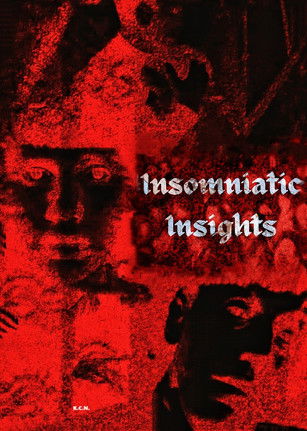 movie poster for Insomniatic Insights