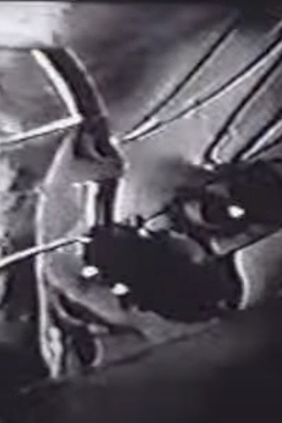 Poster do Filme Shattered