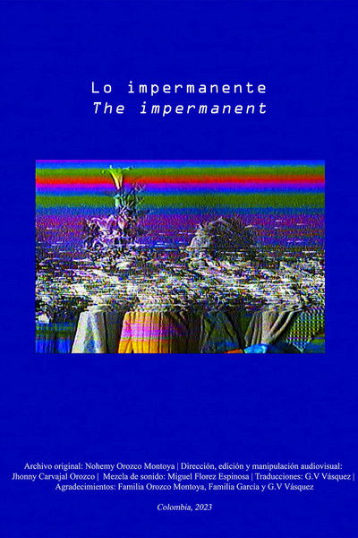 Poster do Filme Lo impermanente