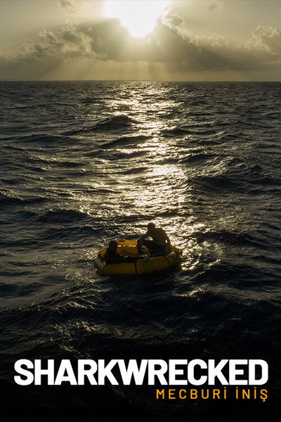 Sharkwrecked: Crash Landing