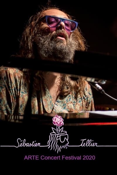 poster Sébastien Tellier au ARTE Concert Festival