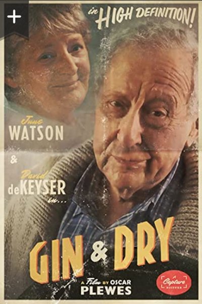 Poster do Filme Gin & Dry