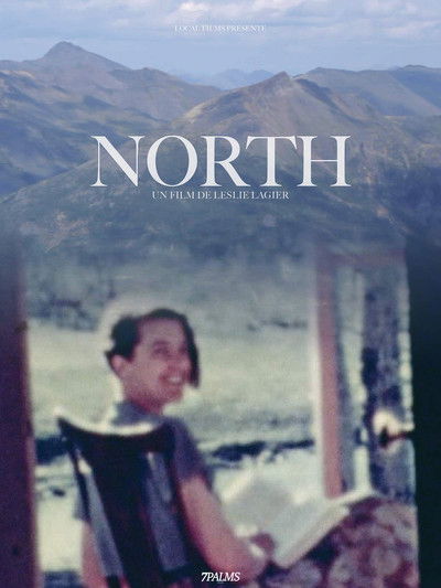 Poster do Filme North