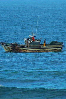 Poster do Filme Anacos da Galiza