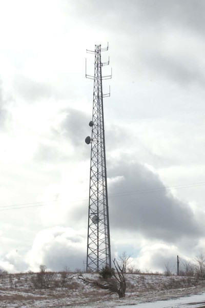 Poster do Filme Cellular