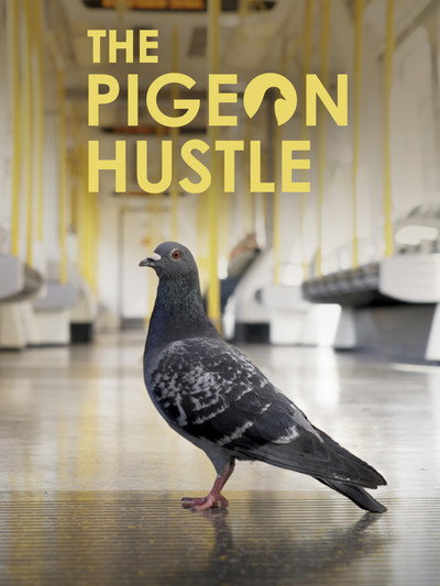 The Pigeon Hustle