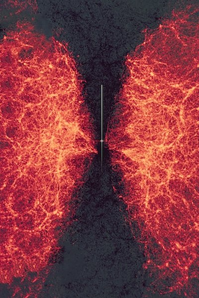 Poster do Filme data-verse 1