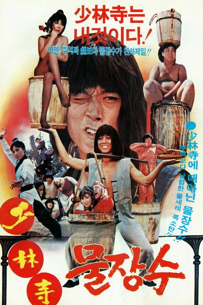 Poster do Filme 소림사 물장수