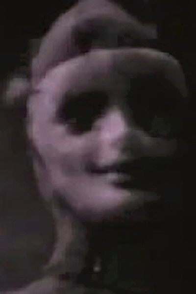 Poster do Filme Voidoid