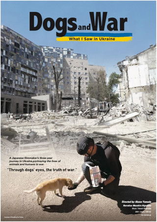 Dogs and War: What I saw in Ukraine