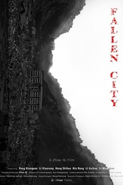 Poster do Filme 殇城