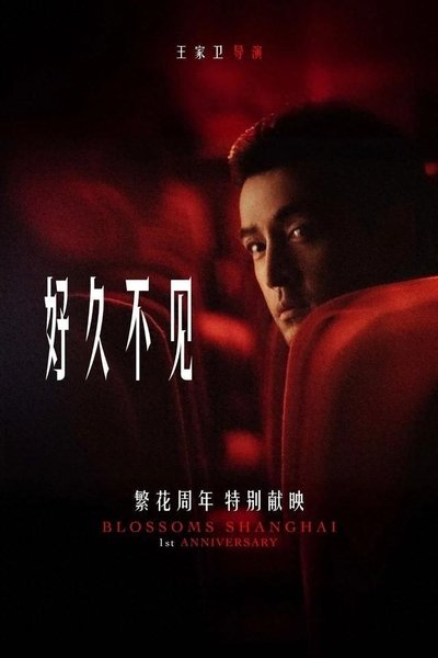 poster for 繁花剧场版