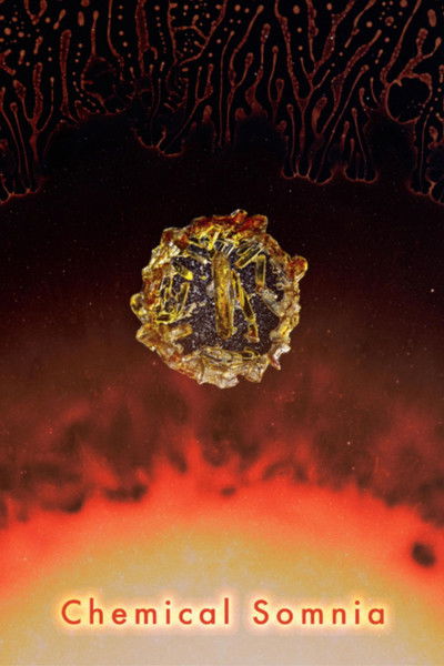 Poster do Filme Chemical Somnia