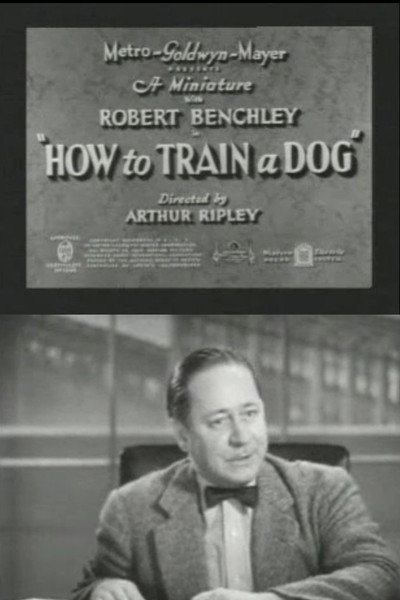 How to Train a Dog