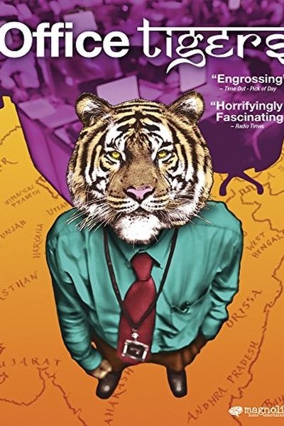 Poster do Filme Office Tigers