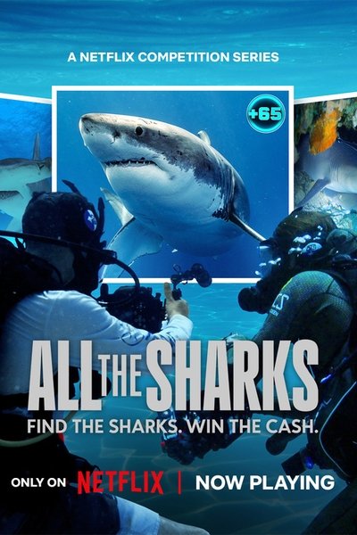 poster for All the Sharks