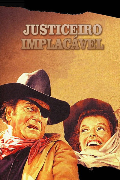 Poster do Filme Justiceiro Implacável