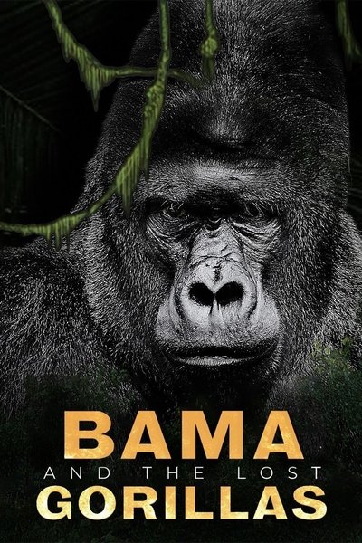Poster do Filme Bama, der Gorillamann - Abenteuer in Kamerun