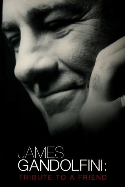 Poster for the movie James Gandolfini: Tribute to a Friend