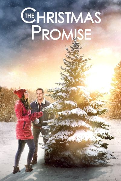 Poster for the movie The Christmas Promise