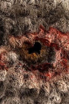 Poster do Filme Sirény Bony