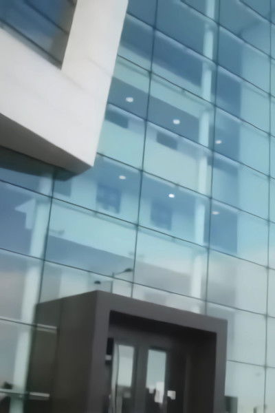 Poster do Filme T. Rex In The Atrium