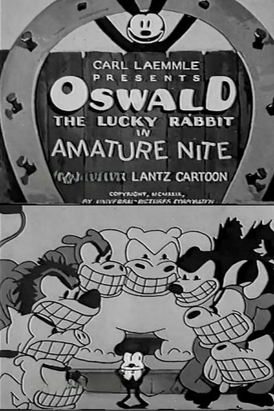 Poster do Filme Amature Nite