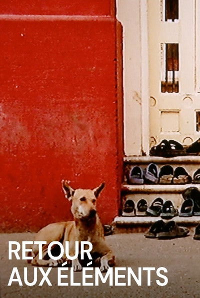 movie poster for Back to the Elements