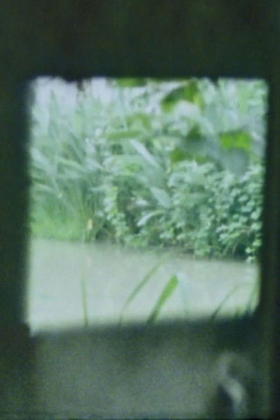 Poster do Filme zhú mù nòng