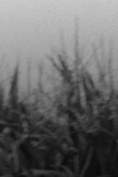 movie poster for The Scythe