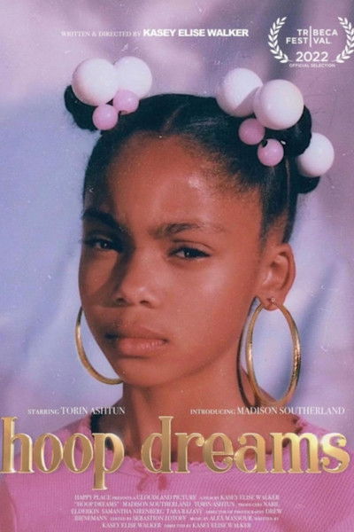 Poster do Filme Hoop Dreams