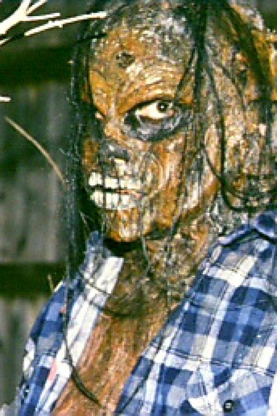 Poster do Filme The Harvester