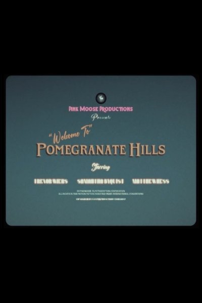 Poster do Filme “Welcome To” Pomegranate Hills