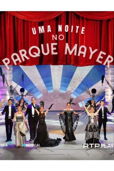 Poster for the movie Uma Noite no Parque Mayer