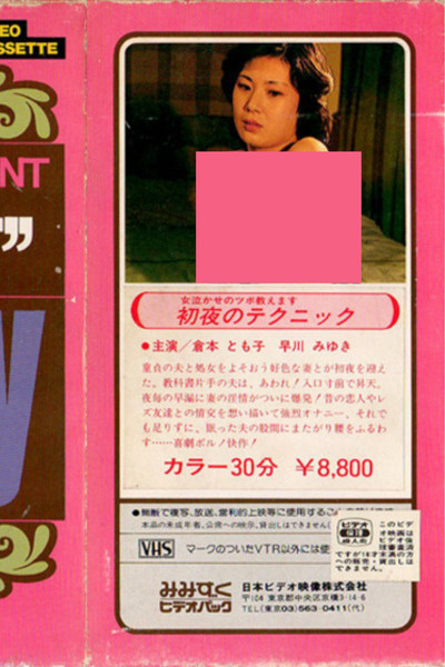 Poster do Filme 寝室のテクニック